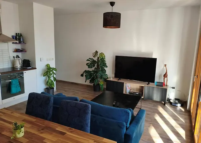 Elegant T2 Au Coeur De Confluence Apartment